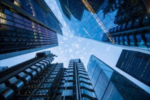 Enterprise SEO Expert